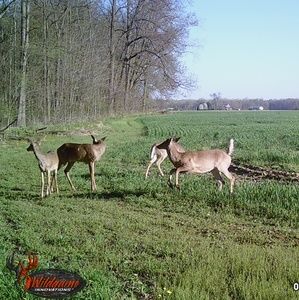 Meet your Posher, Craig